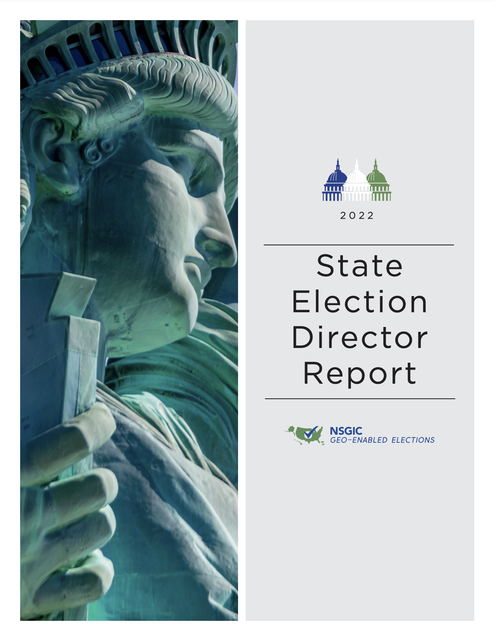 state election director report cover